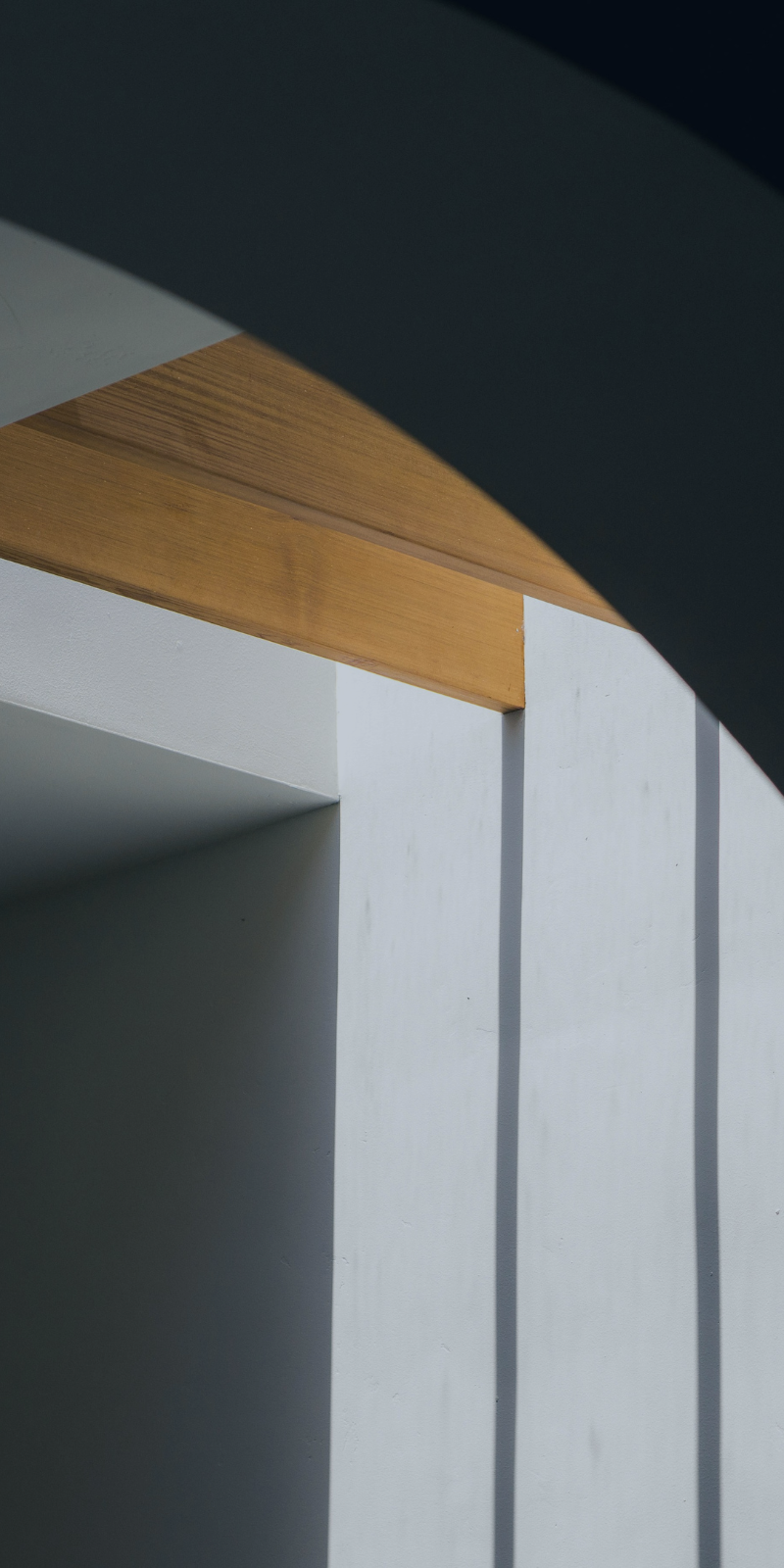 Curved architectural interior with natural light and soft shadows representing guidance, continuity, and structured trust administration during periods of transition.